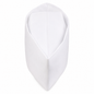 Gandhi Topi White | Maharashtrian Cap | Tericot Cotton | 12x3 Inch | Pooja Fancy Dress & Gift | Unisex